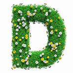 images of the letter d with flowers clip art1