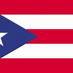 puerto rico flag1