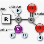 how do you make selenocysteine from ser residue chart2