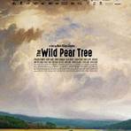 The Pear Tree Film2
