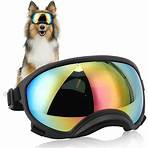 how do polarised sunglasses work for dogs youtube full video4