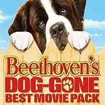 Beethoven Film Series2