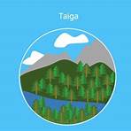 taiga vegetation3