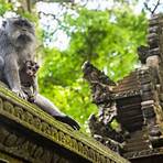 Ubud Monkey Forest3