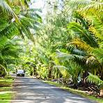What should I do if I'm driving in the Cook Islands?1