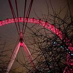 facts about london eye3