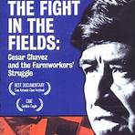 The Fight in the Fields1