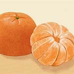 tangerine fruit1
