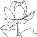 flor de lótus desenho colorida2
