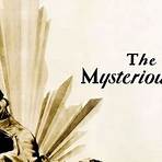 The Mysterious Lady4