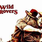 wild rovers review2