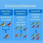 evolution definition1