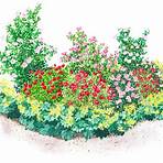 microsoft wikipedia the free encyclopedia english rose garden florist3