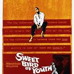 Sweet Bird of Youth (1989 film) filme2