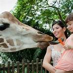 singapore zoo official website site1