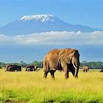 most popular attractions in africa3