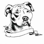 cachorro pitbull desenho4