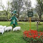 綠光森林富野綿羊牧場4