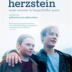 Herzstein3