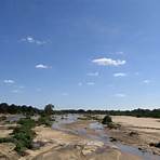 parc kruger afrique du sud5