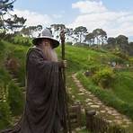 The Hobbit: An Unexpected Journey4