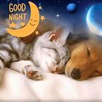 good night cards1