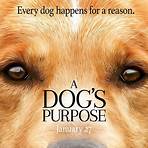A Dog's Purpose movie1