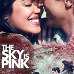 where can i watch the sky is pink movie review3