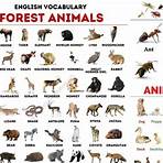 list of animals in english1