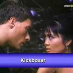 Karate Tiger 3 – Der Kickboxer2
