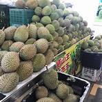 famous durian2