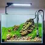 nano aquarium garnelen5