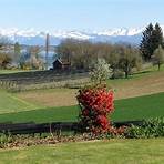 A Short Stay in Switzerland Reviews2