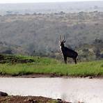Nairóbi, Quénia1