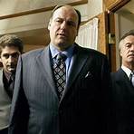 Is the Sopranos a good series?1