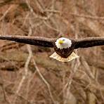 eagles hideaway at eagle creek park1