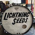 The Lightning Seeds5