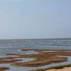 walvis bay flamingo lagoon3