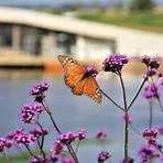 parque das flores1