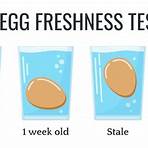 Fresh Eggs2