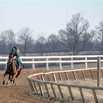 john ortiz horse trainer1