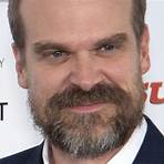 does david harbour have a good acting career in business2