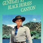 Gunfight at Black Horse Canyon Film1