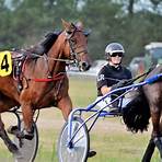 what does harness racing have in common with thoroughbred racing products4