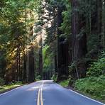 Redwood Highway3