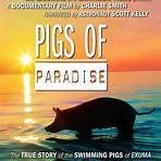 Pigs Of Paradise Film4