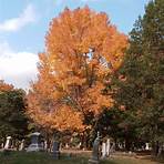 Aspen Grove Cemetery (Burlington, Iowa) wikipedia4