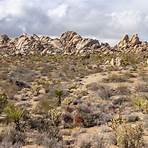 Where to visit in Mojave National Preserve?3