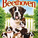 Beethoven Film Series4