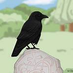 raven meaning meaning5